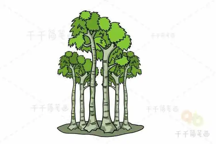 挺拔的杨树简笔画好看的杨树简笔画挺拔的杨树简笔画杨树的简笔画的和