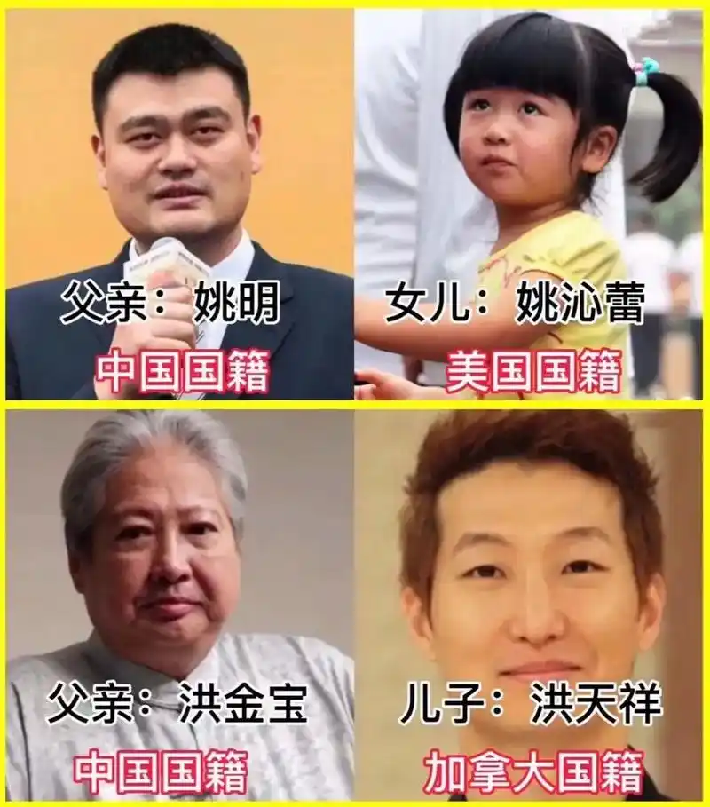 明星子女国籍揭秘.