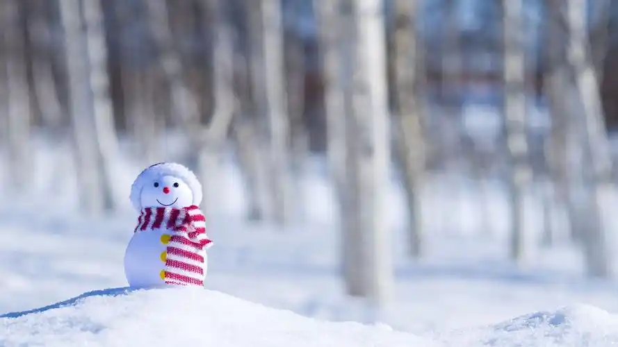 雪地上的可爱雪人壁纸
