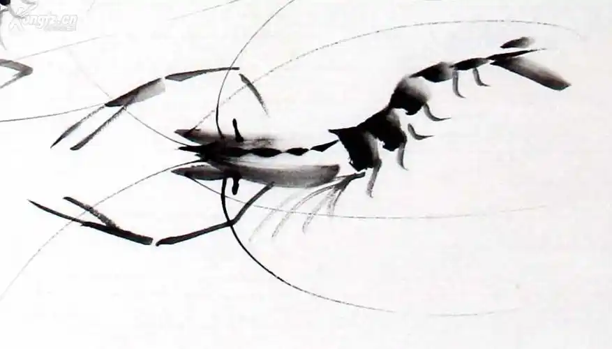 王成国画水墨虾《寻源探底常求索》:神韵高雅,姿态灵动,肢体玉洁透明