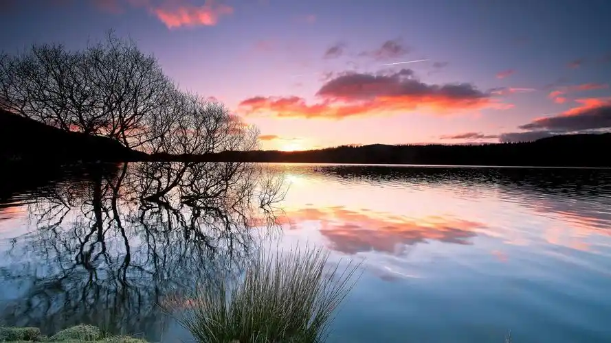 黄昏 壁纸 湖泊,树木,人影,水中的倒影,日落,黄昏 桌布 - 1920x1080