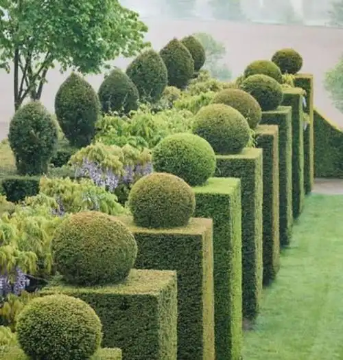 少了绿篱的花园是没有灵魂的,这几款设计好美,好想立马搞同款!