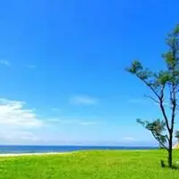 海滩清凉头像图片大全_微信头像图片大全