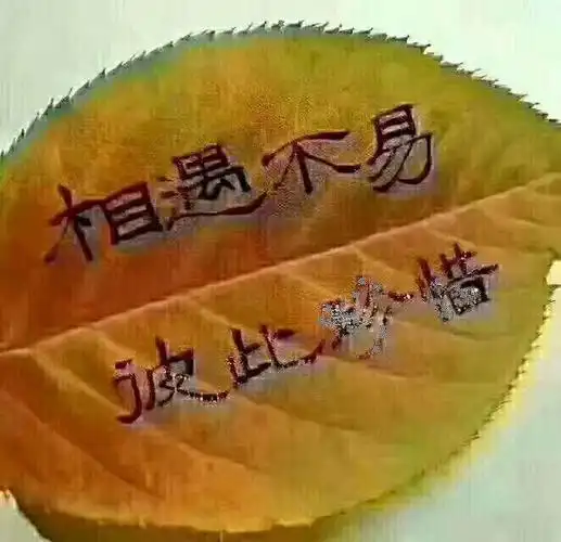 女人对你动情的真心表现(女人彻底爱上一个男人的表现)_大全-幸福起航