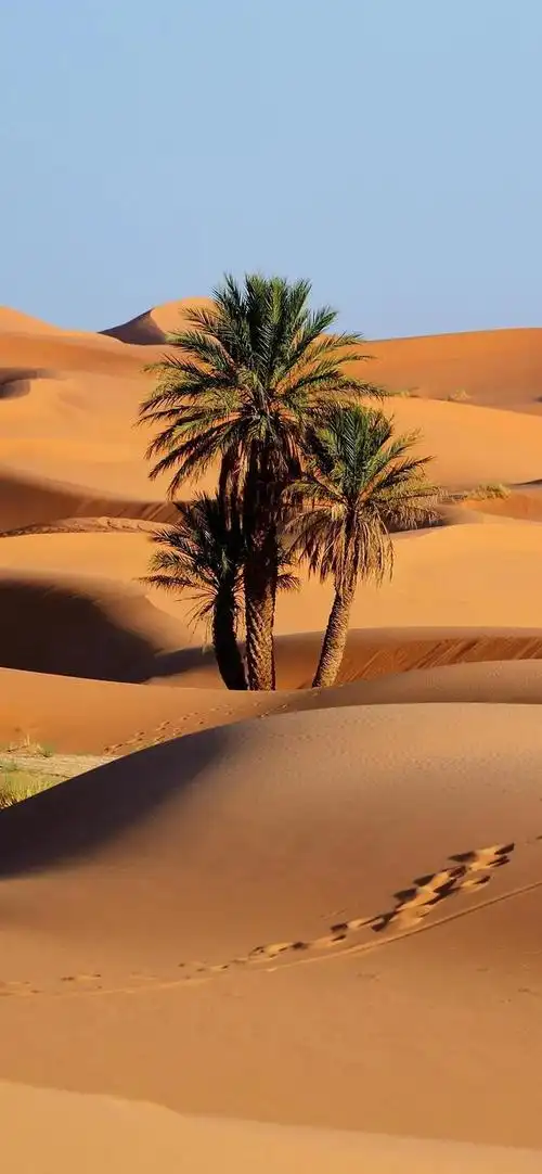 沙漠风的苹果7p壁纸都有哪些