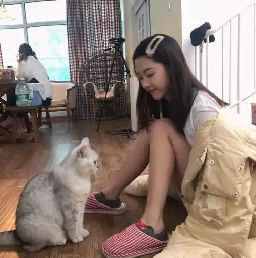 有没有半藏森林好看的照片