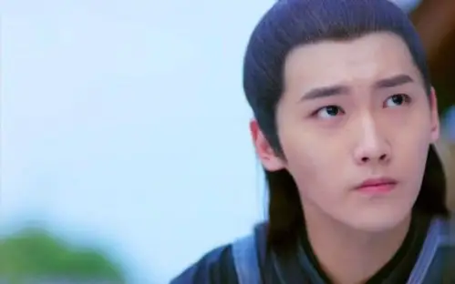 邢昭林楚乔传美图