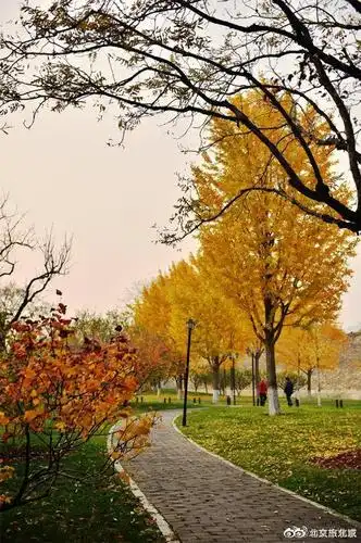 东花市街道黄昏美景