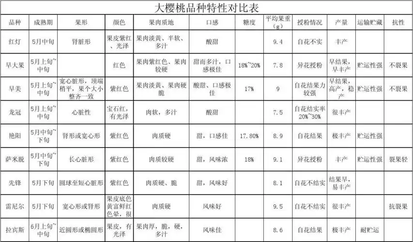 大樱桃品种对比表