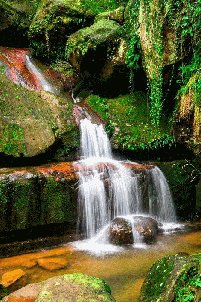 高山流水遇知音