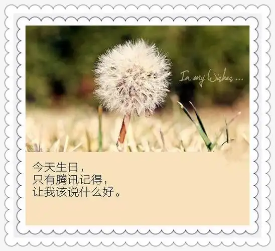 生日有人记得就好心酸