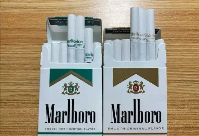 吸烟有害吗?48只狗被英国烟草公司做实验,三年每天抽100根烟