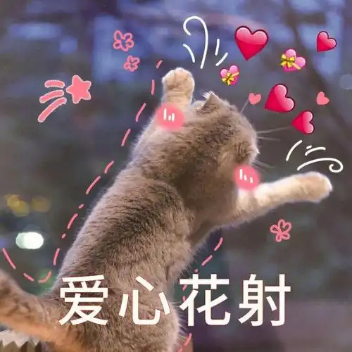 发射爱心,期望早日解封#搞笑的日常  #表情包  #我最爱的表情包