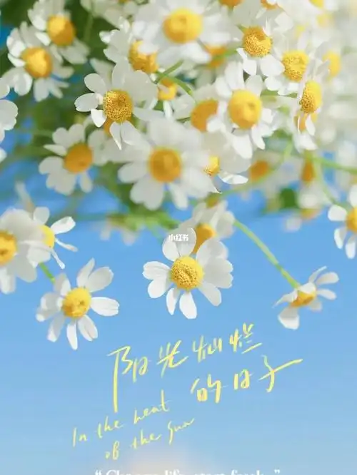 遇见一群开心温暖的人 心情都会跟着开心起来