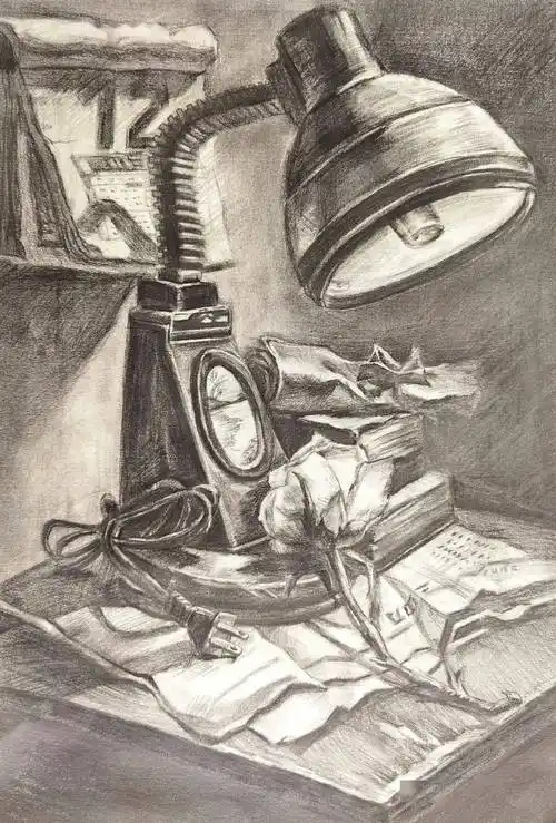 经开一校初中部朱晨瑞,马佶奥同学个人素描作品展_静物画_美术_衫美