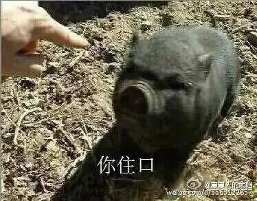 无水印怼人表情包,评论自取. 来自快退后我要装逼了 - 微博