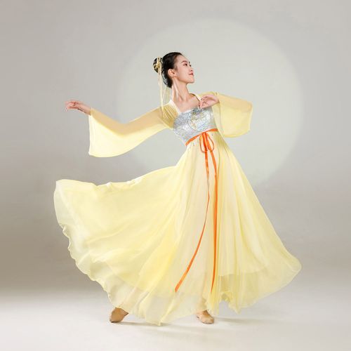 古典舞舞蹈服大摆裙纱衣刺绣款中国风女神话舞蹈服装长款飘逸超仙