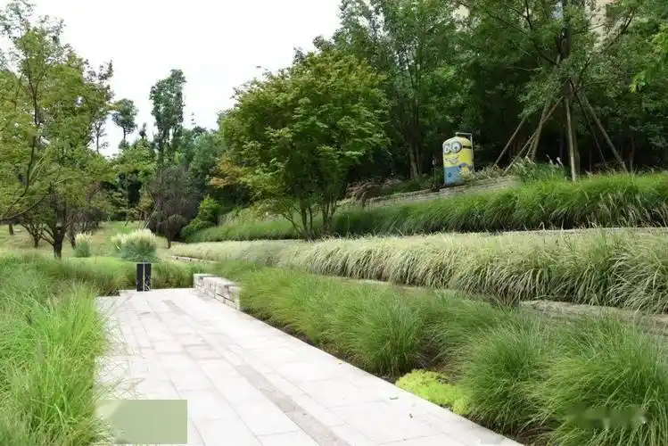 成都麓湖生态城之景观设计初探