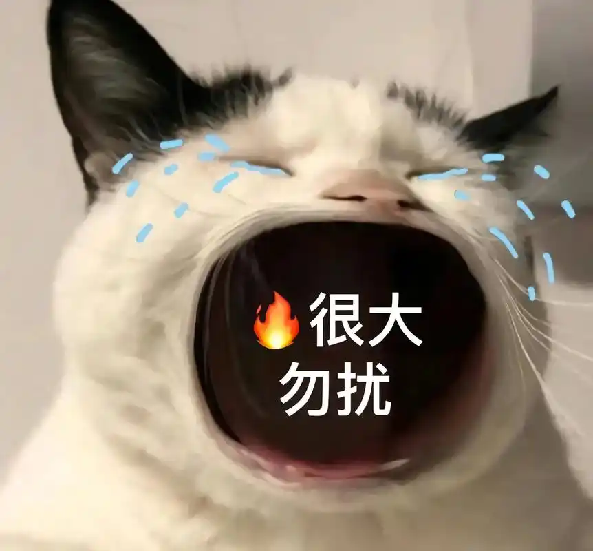 猫猫张大嘴#表情包 #可爱到爆炸99 - 抖音