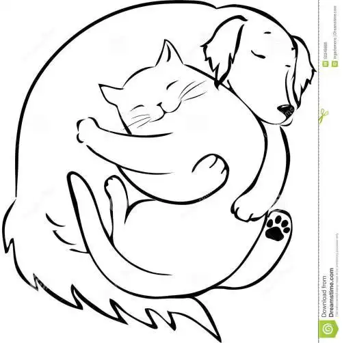 猫和狗玩耍的简笔画