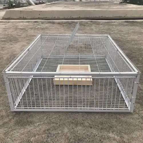 捕鸡自动网捕鸽神器收鸽子笼抓鸽子笼天落笼鸡鸭鹅捕捉逮鸽只进不出