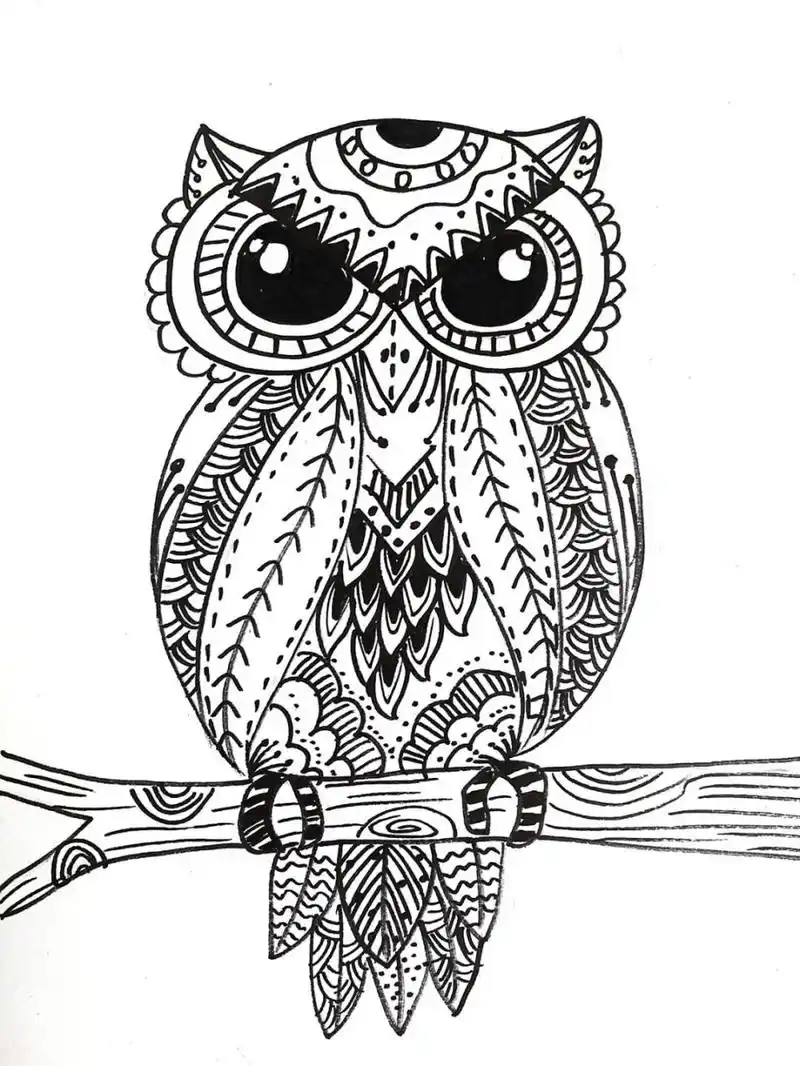 猫头鹰线描 #线描# #黑白线描# #动物线描