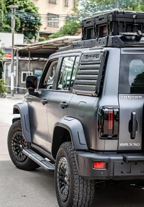 避雷长城坦克300