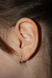 人类的耳朵女性人类的耳朵和头发关闭照片