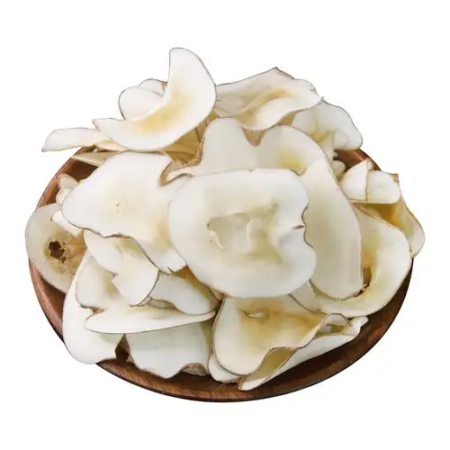 海底椰片500g广东老火煲汤糖水材料新鲜无硫药膳养生汤料