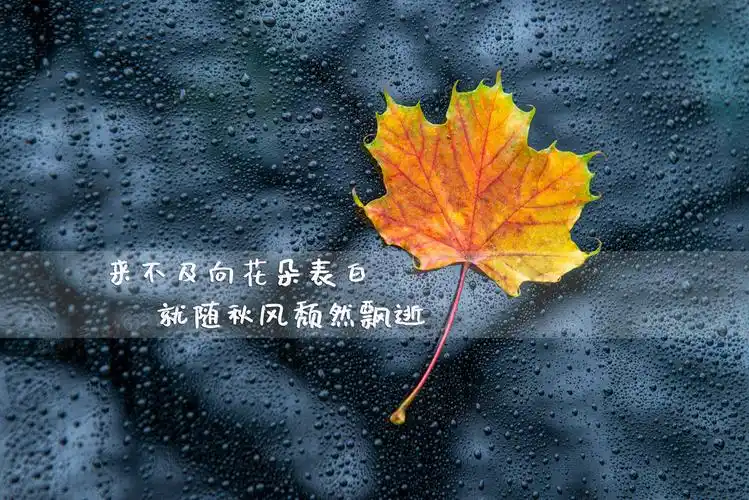 伤感文字控图片