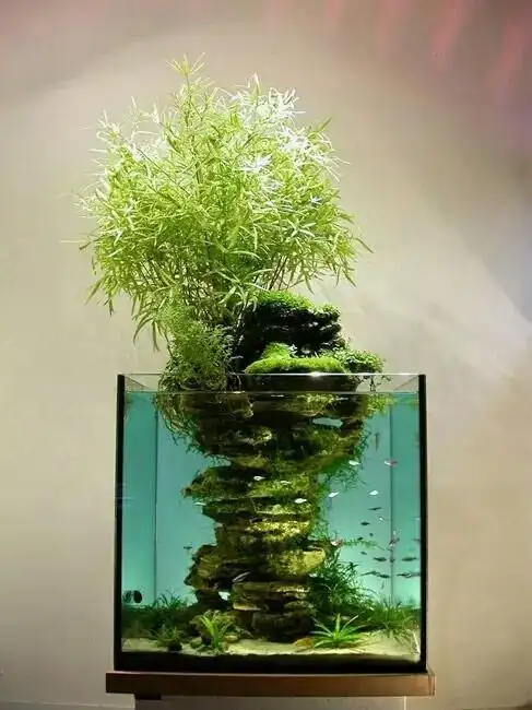 假山鱼缸