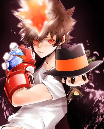 家庭教师reborn [沢田纲吉/里包恩]