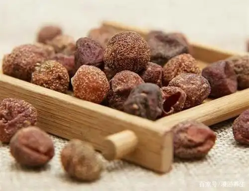 山黄皮:见过鲜果有几人?香味独持,提鲜,提香,食药效果好