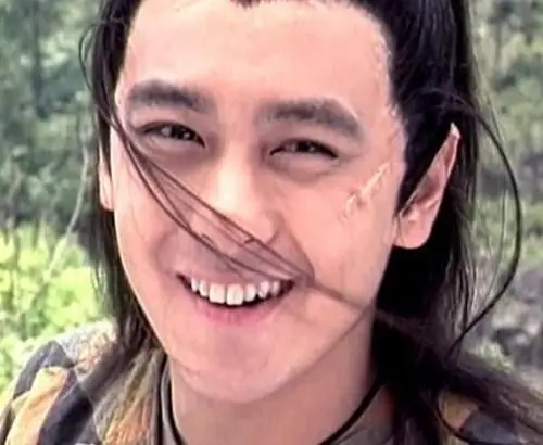 不老的传说,不老的大众情人.小鱼儿林志颖