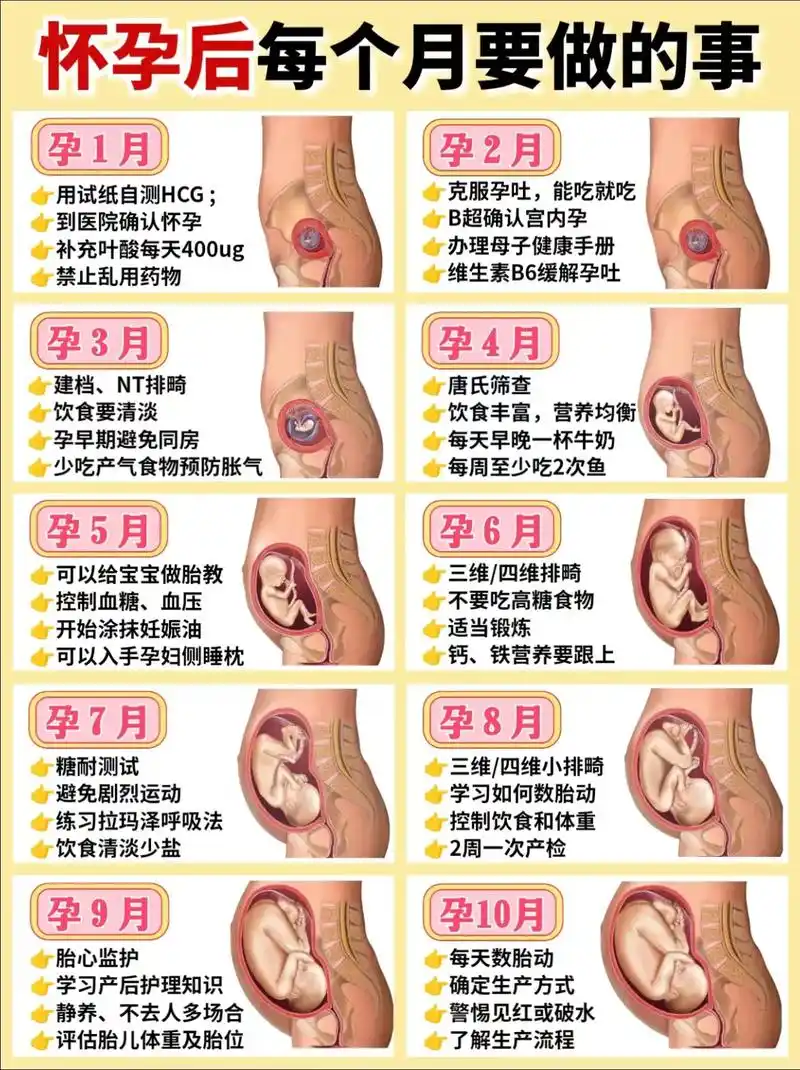 孕妈必知,怀孕后每个月要做的事.孕育是一件幸福伟大的事,胎儿 - 抖音