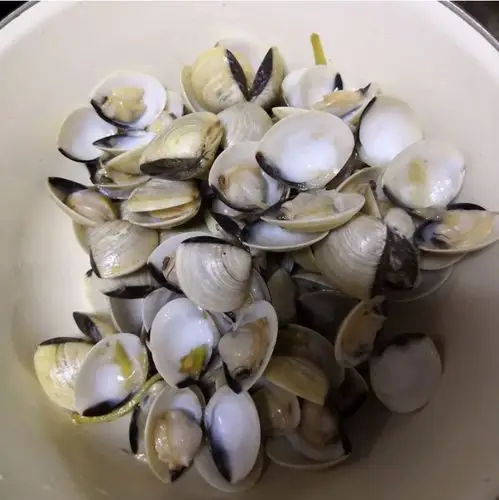 烹饪3分钟学会5种小白螺做法