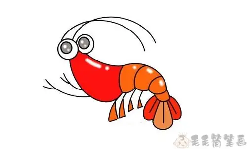 虾米简笔画虾怎么画