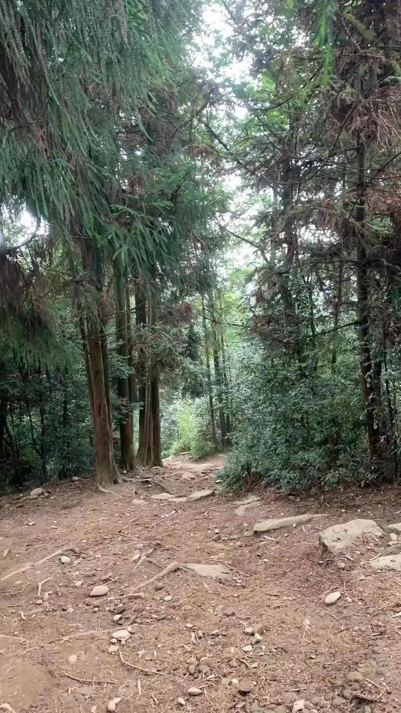 山山而川征途漫漫.#户外徒步登山 #赵公山 #保持热爱奔赴山 - 抖音