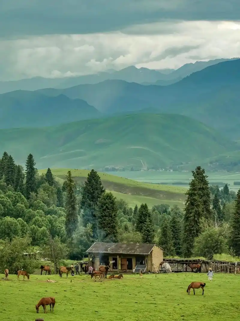 去新疆看全世界的美景十天花了5000