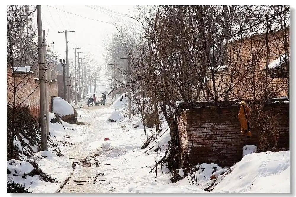 2019的第一场雪,小编带你看看乡村的雪景,真的是如诗如画