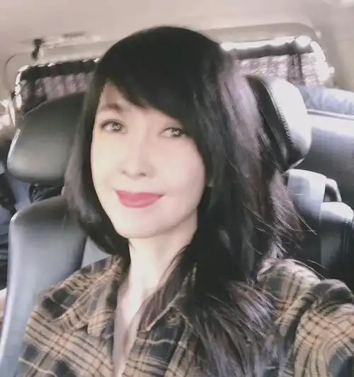 倪震|张茆|周慧敏|娱乐圈|陈法蓉_网易订阅