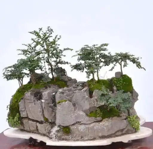 石上盆景,绝美!_山石