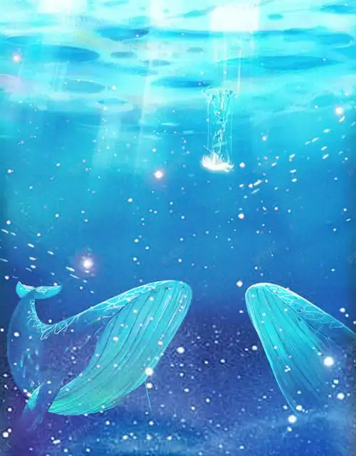 浪漫海洋星星背景