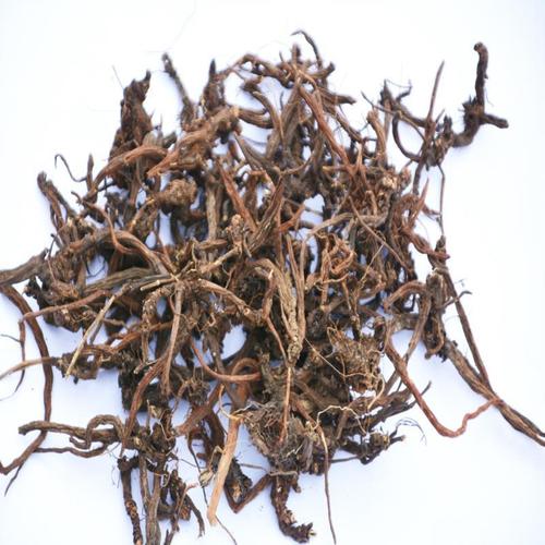 野生丹参贵州中药材紫丹参赤参 红根 奔马草 七里麻250g包邮