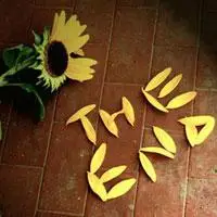 end文字头像带英文end的文字头像theend结束