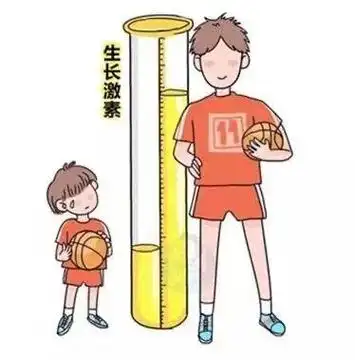 孩子怎么才能长高?掌握几大长高要素,让孩子长高并不难