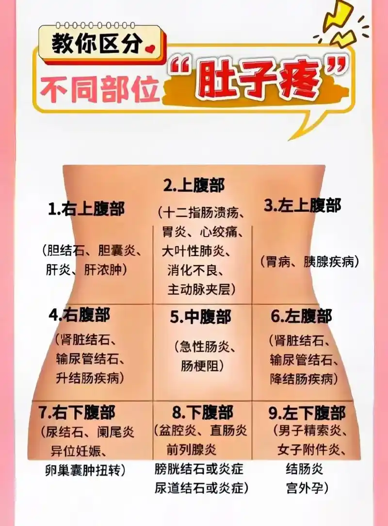 教你识别不同肚子疼的部位.#dou上热门 #知识分享 #每天 - 抖音