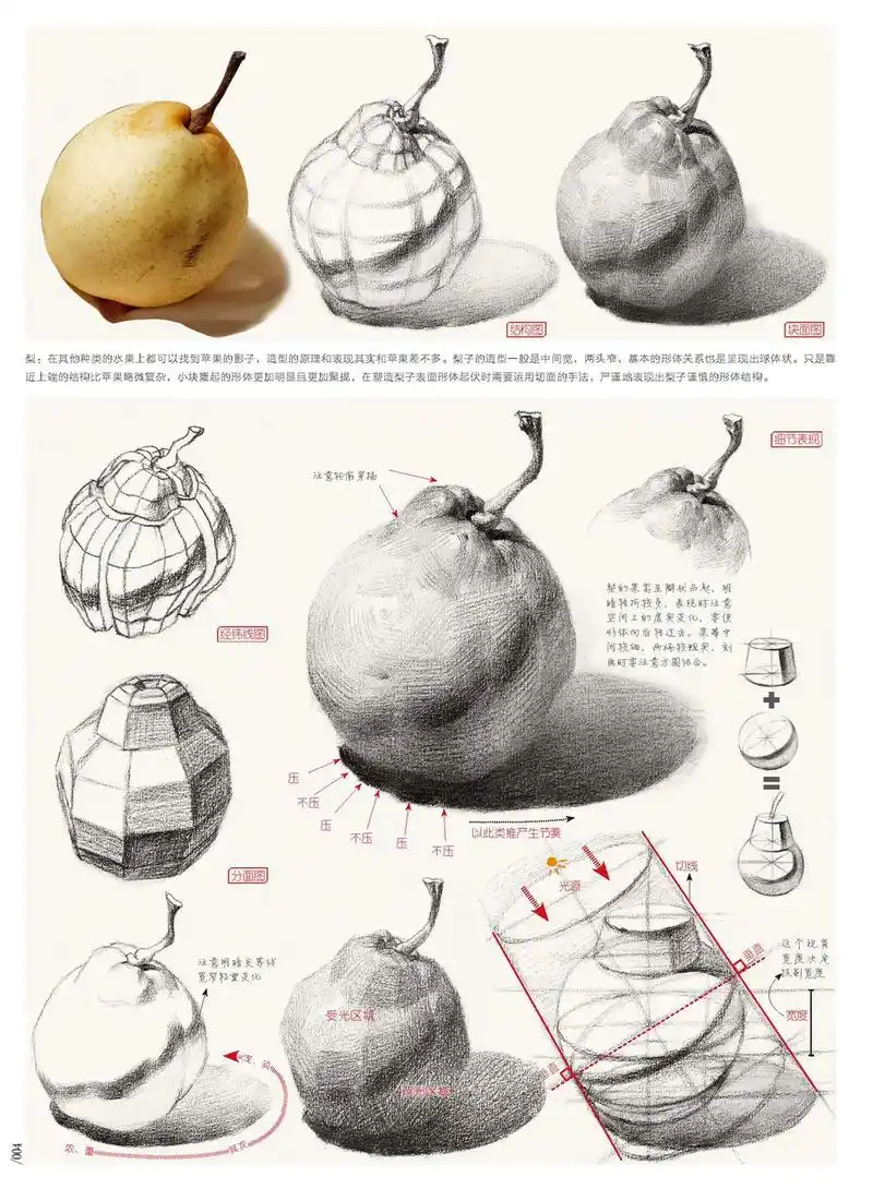 素描静物临摹图