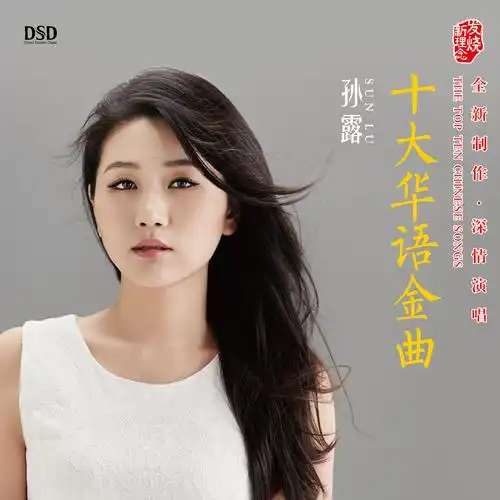 曾经心痛专辑:十大华语金曲歌手:孙露孙露 - 曾经心痛词:陈大力曲