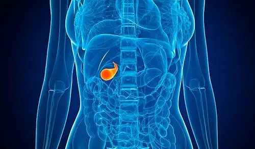 胆结石,胆囊炎,蜂产品偏方有办法!-搜狐